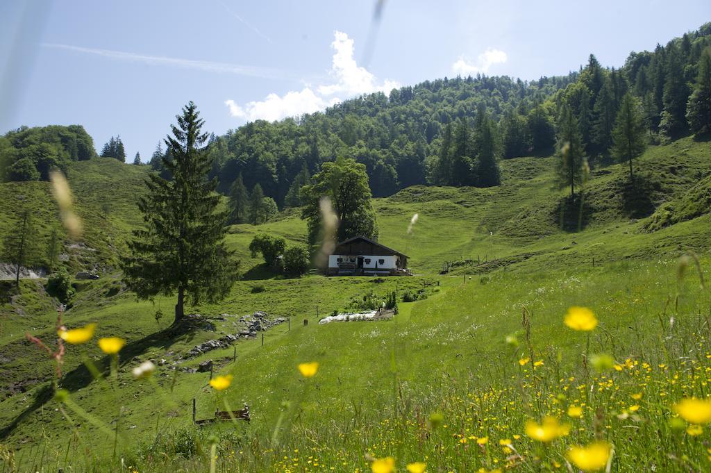 Noichl'S Hotel Garni Sankt Johann in Tirol Cameră foto